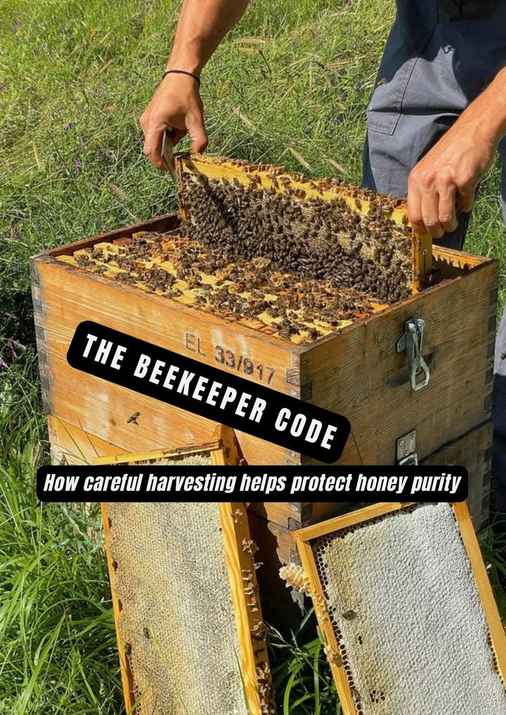 The Beekeeper Code: How Careful Harvesting Protects Honey Purity | RealFUEL+